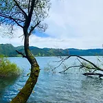 Nature سيتي سيداديس