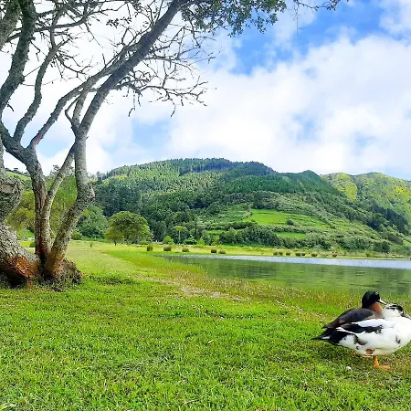 Nature * Sete Cidades