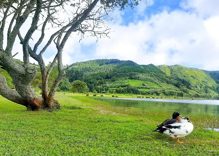 Nature * Sete Cidades